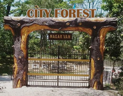city-forest-nagar-van-corbett
